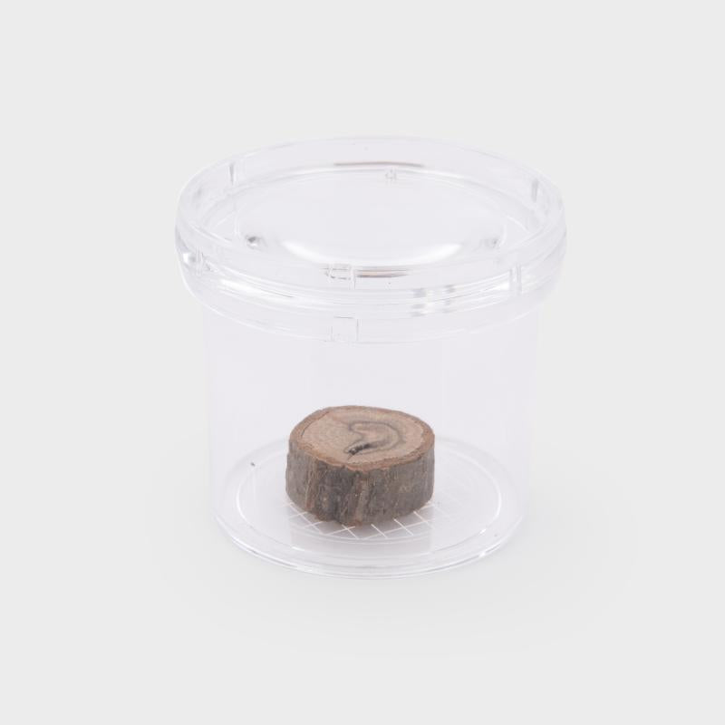Clear Bug Viewer, Learning SPACE