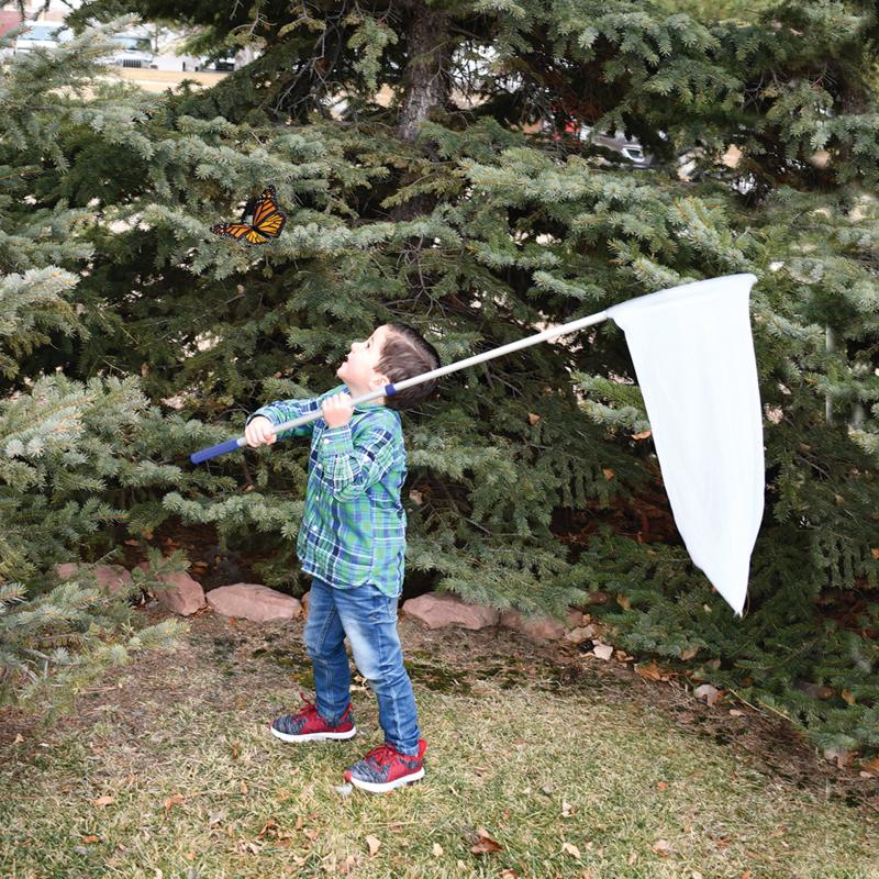 Telescopic Sweep Net, Learning SPACE