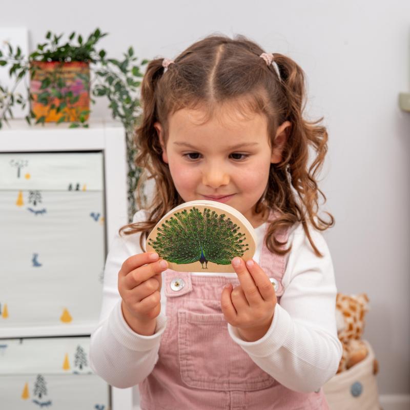 Wooden Bird Blocks Pk15, Learning SPACE