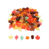 Translucent Colour Leaves and Seeds PK 120