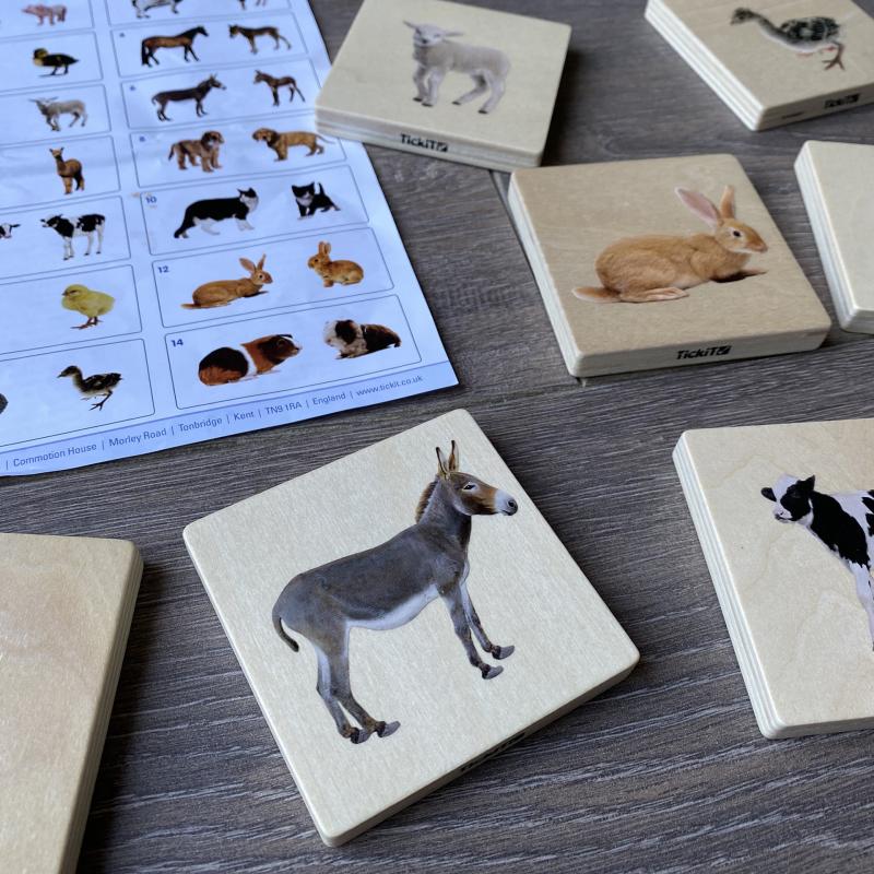 Domestic Animal Family Match - Pk28, Learning SPACE