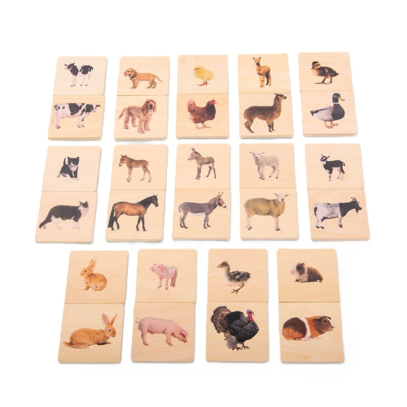 Domestic Animal Family Match - Pk28, Learning SPACE