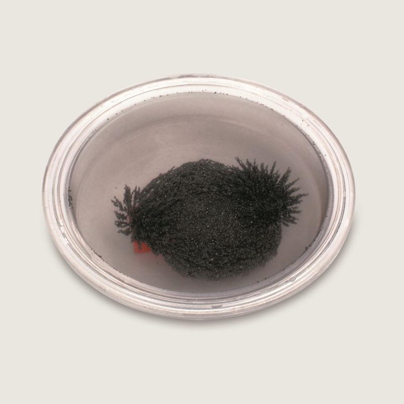 Round Iron Filings Bubble - 10 Pack, Learning SPACE