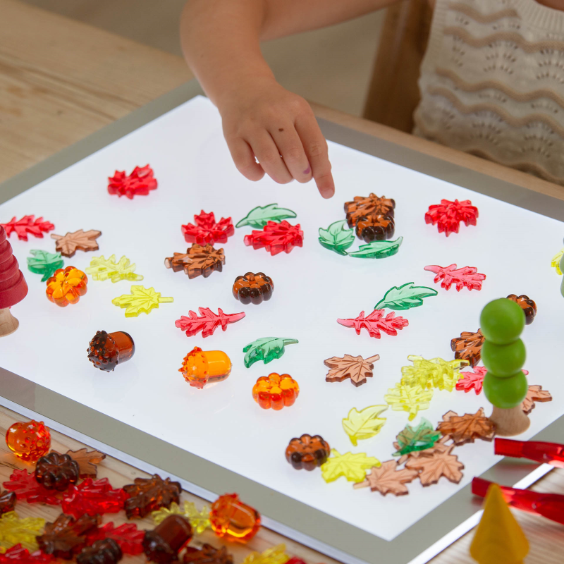 Translucent Colour Leaves and Seeds PK 120