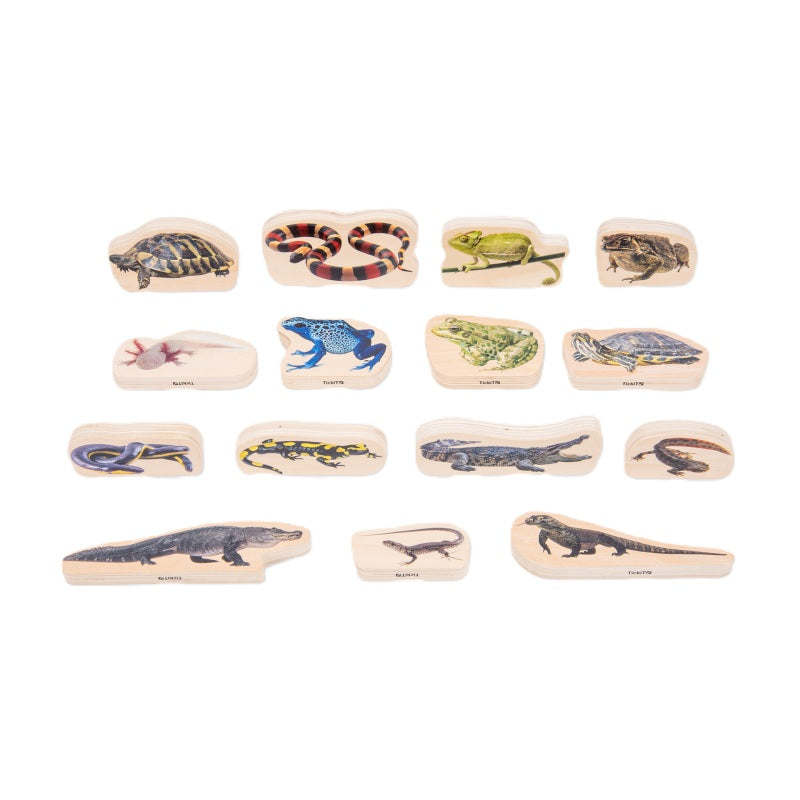 Wooden Reptile & Amphibian Blocks, Learning SPACE