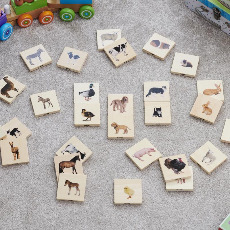 Domestic Animal Family Match - Pk28, Learning SPACE