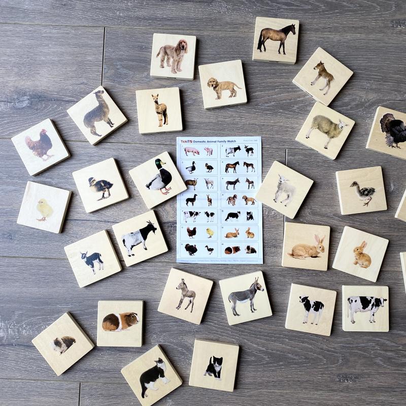 Domestic Animal Family Match - Pk28, Learning SPACE