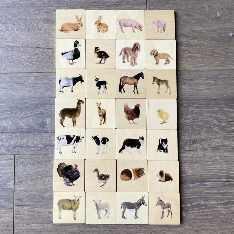 Domestic Animal Family Match - Pk28, Learning SPACE