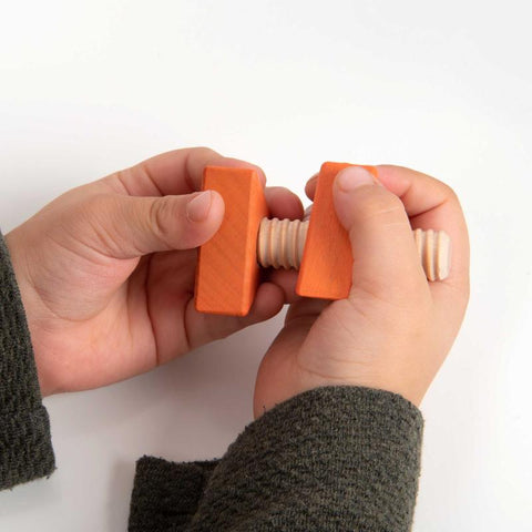 Rainbow Wooden Nuts & Bolts - Pk21, Learning SPACE
