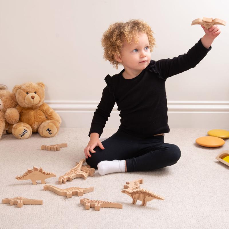 Dinosaur Wooden Blocks, Learning SPACE