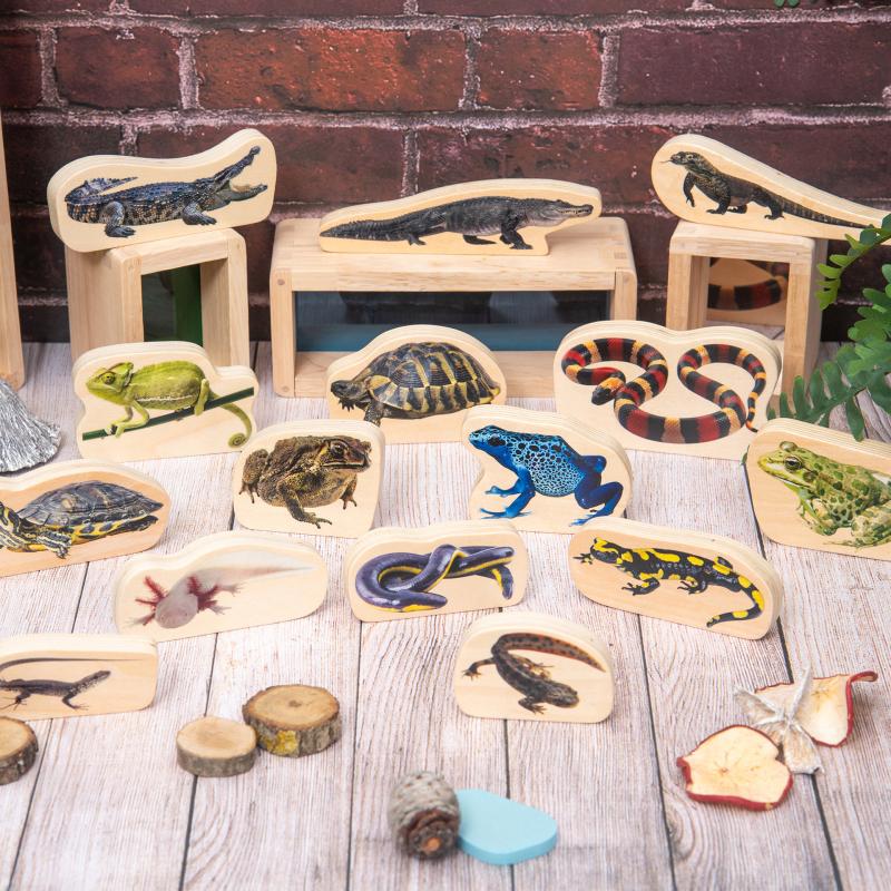 Wooden Reptile & Amphibian Blocks, Learning SPACE