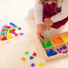 Translucent Colour Bugs - Pk96, Learning SPACE