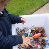 Rainbow Tongs - Pk6, Learning SPACE