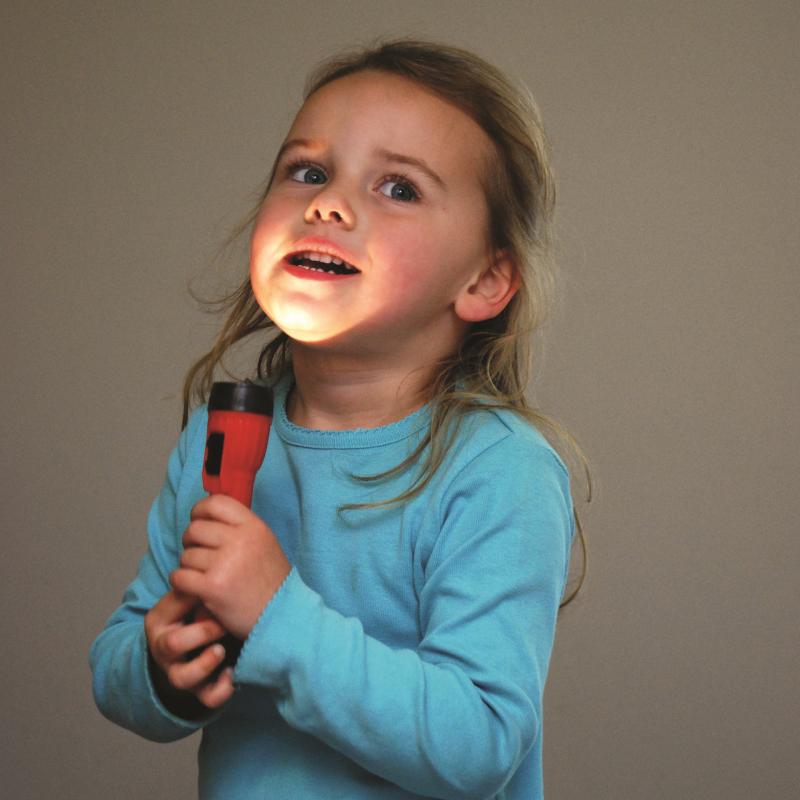 LED Handy Torches - Pk12, Learning SPACE