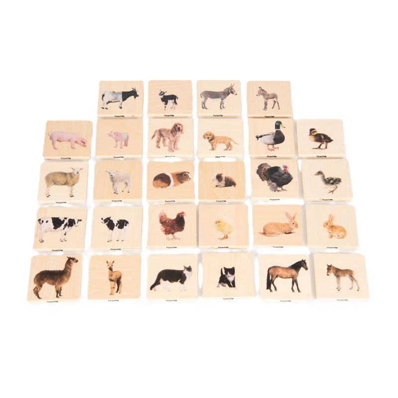 Domestic Animal Family Match - Pk28, Learning SPACE