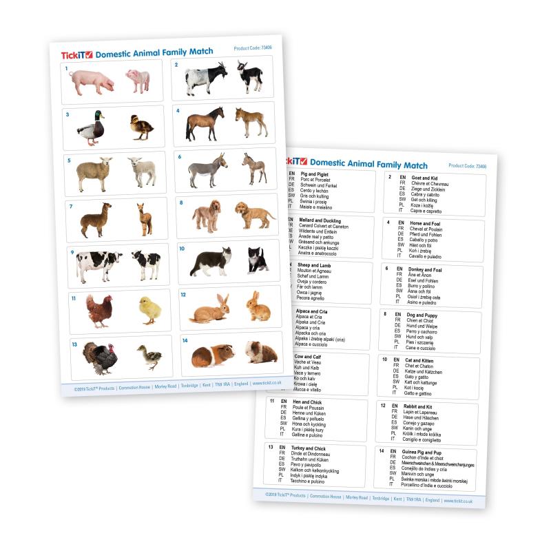 Domestic Animal Family Match - Pk28, Learning SPACE
