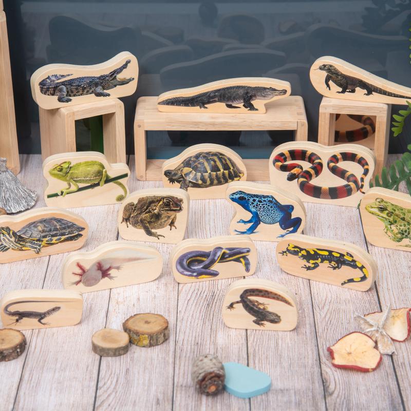 Wooden Reptile & Amphibian Blocks, Learning SPACE