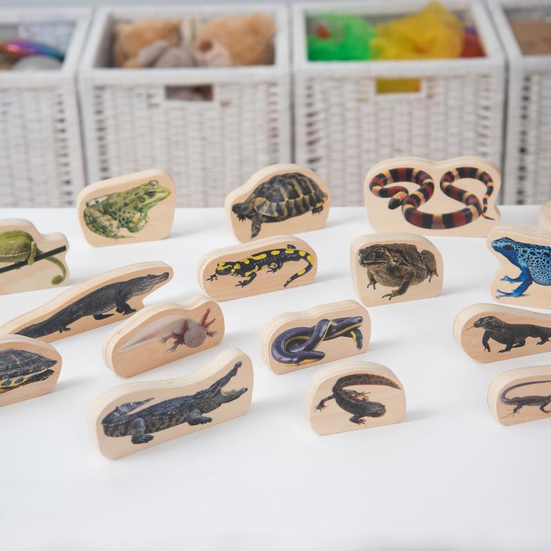 Wooden Reptile & Amphibian Blocks, Learning SPACE