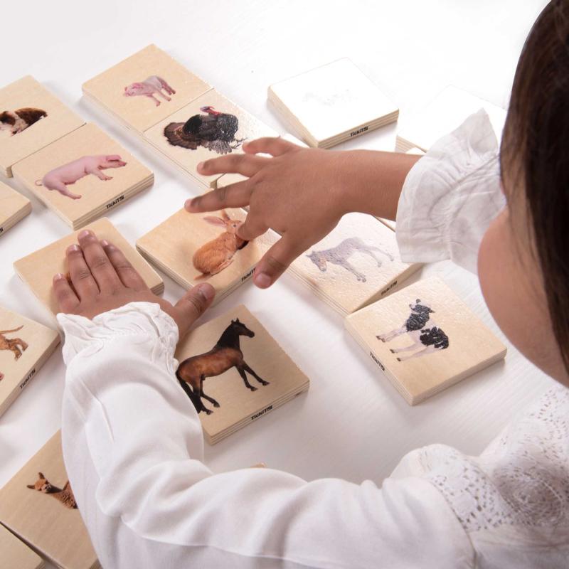 Domestic Animal Family Match - Pk28, Learning SPACE