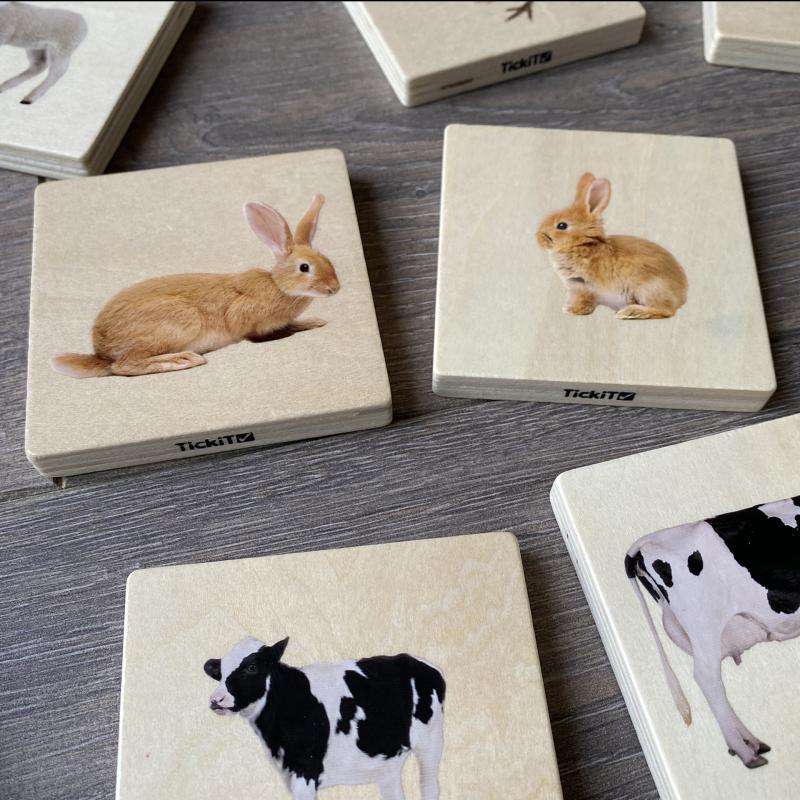 Domestic Animal Family Match - Pk28, Learning SPACE