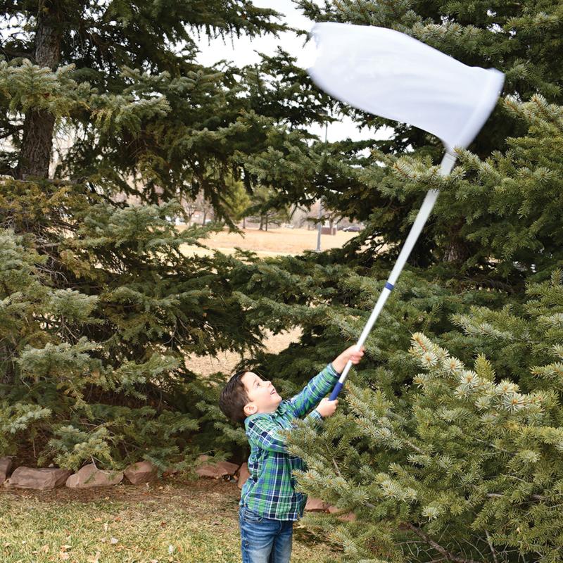 Telescopic Sweep Net, Learning SPACE
