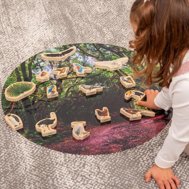 Wooden Bird Blocks Pk15, Learning SPACE