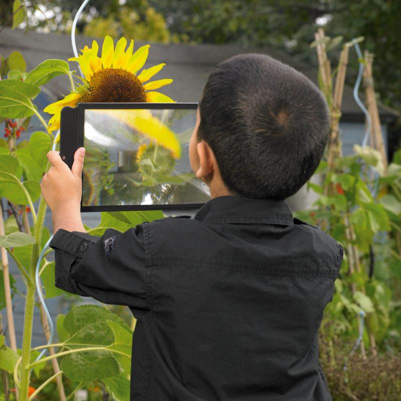 Large Sheet Magnifier, Learning SPACE
