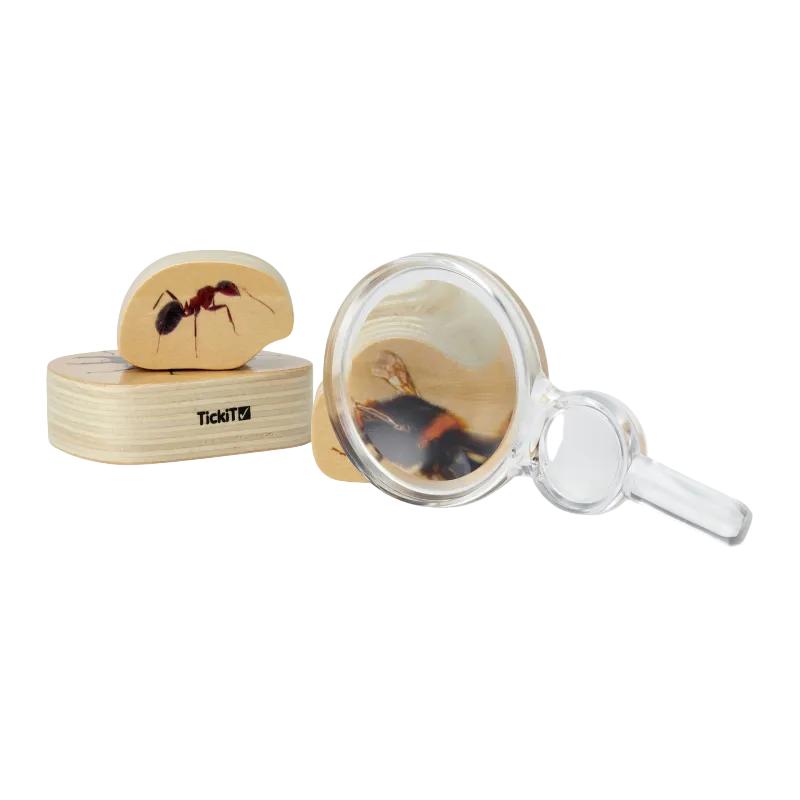 Class Pack Of Magnifiers & Hand Lenses - Pk35, School & Educational Supplies Learning SPACE