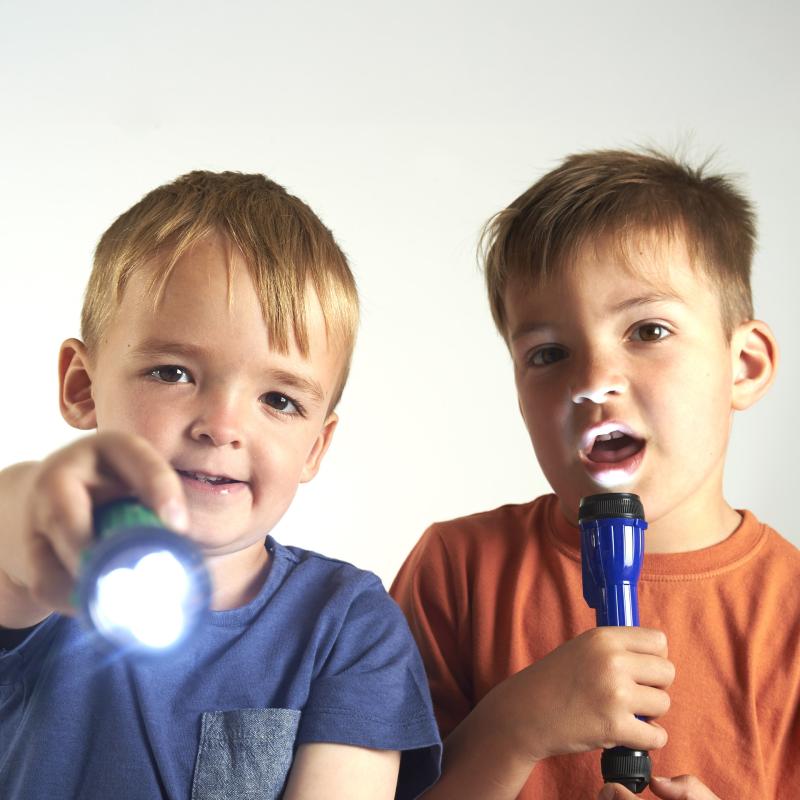 LED Handy Torches - Pk12, Learning SPACE