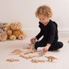 Dinosaur Wooden Blocks, Learning SPACE