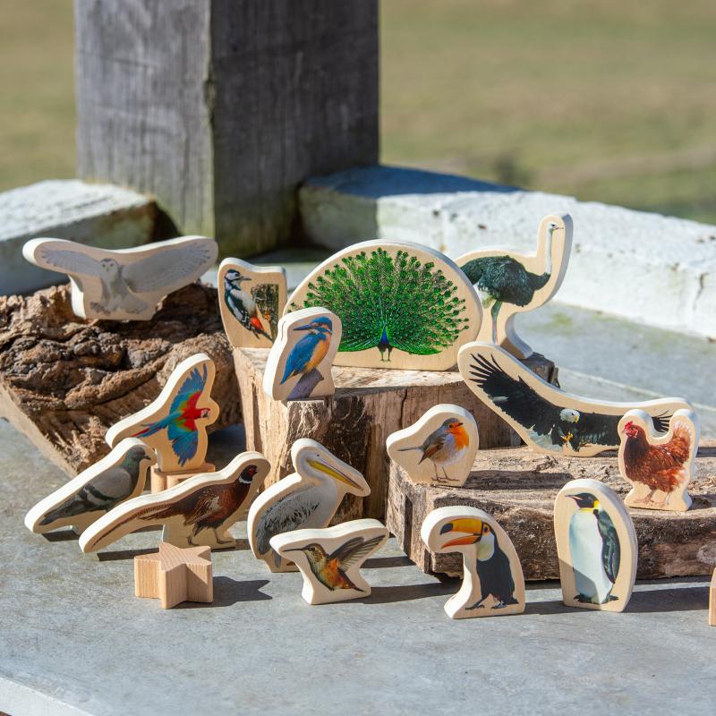 Wooden Bird Blocks Pk15, Learning SPACE