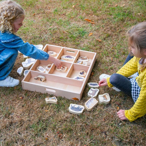Wooden Sorting Tray - 7 Way, Learning SPACE