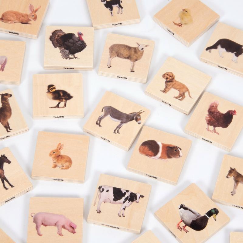 Domestic Animal Family Match - Pk28, Learning SPACE