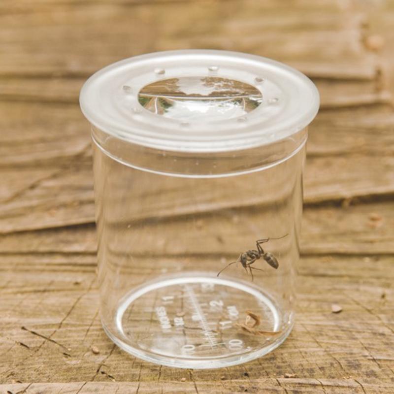 Class Pack Of Magnifiers & Hand Lenses - Pk35, School & Educational Supplies Learning SPACE