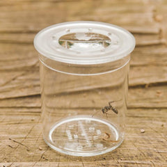 Class Pack Of Magnifiers & Hand Lenses - Pk35, School & Educational Supplies Learning SPACE