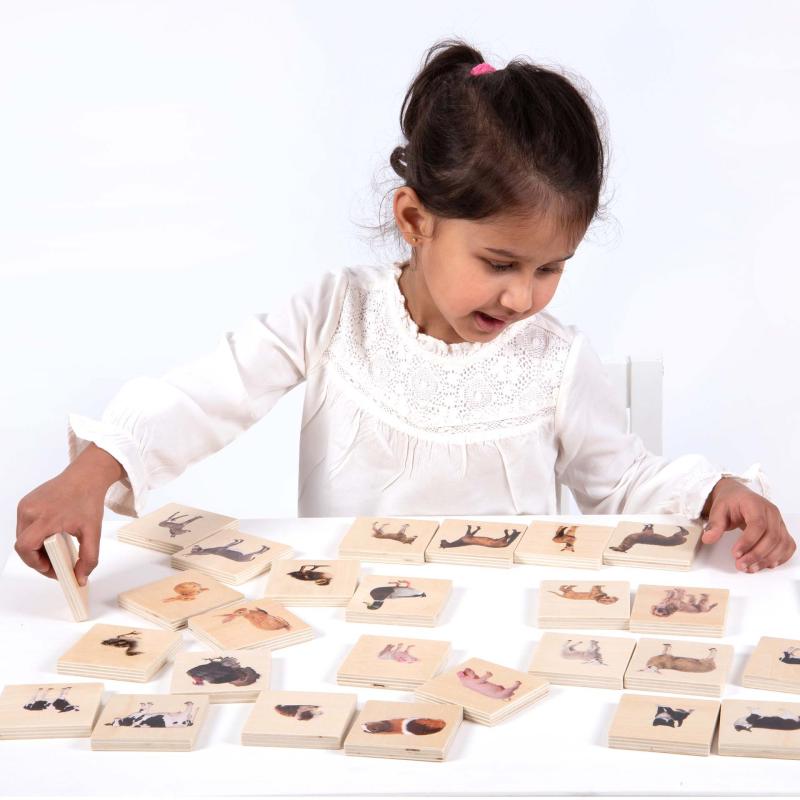 Domestic Animal Family Match - Pk28, Learning SPACE