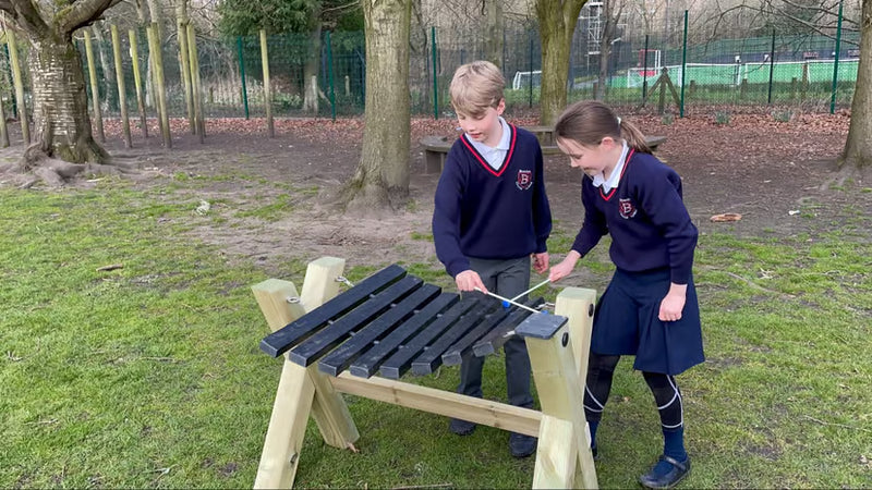 Xylophone Playground Musical Instument, Learning SPACE