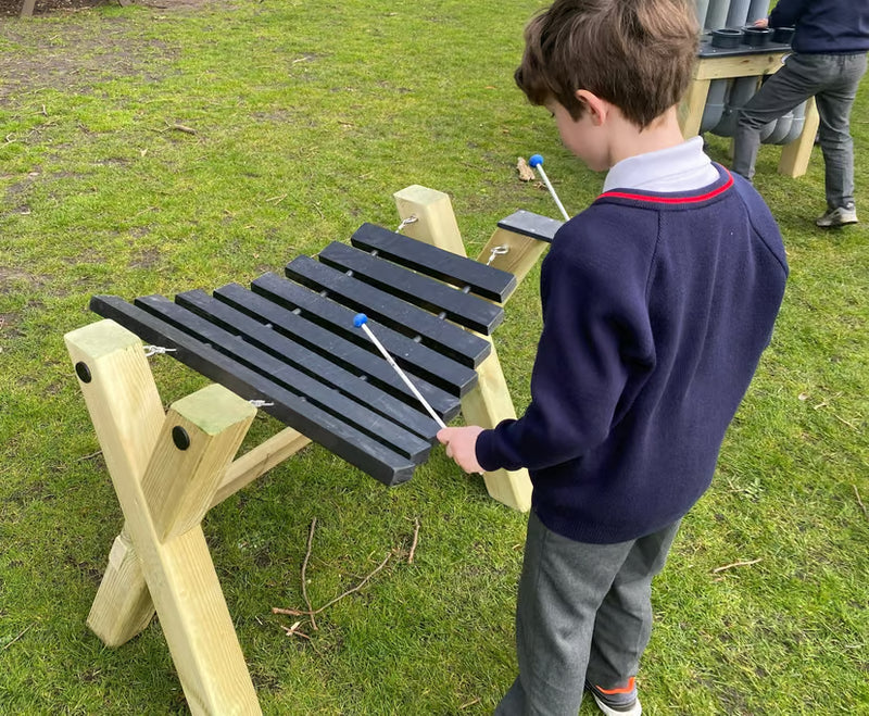 Xylophone Playground Musical Instument, Learning SPACE
